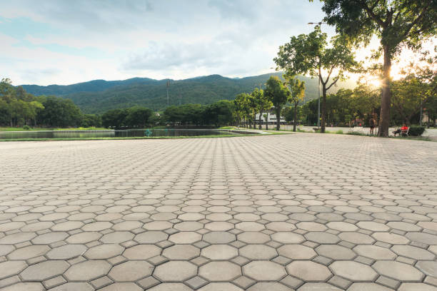 Best Commercial Driveway Pavers  in Reno, TX
